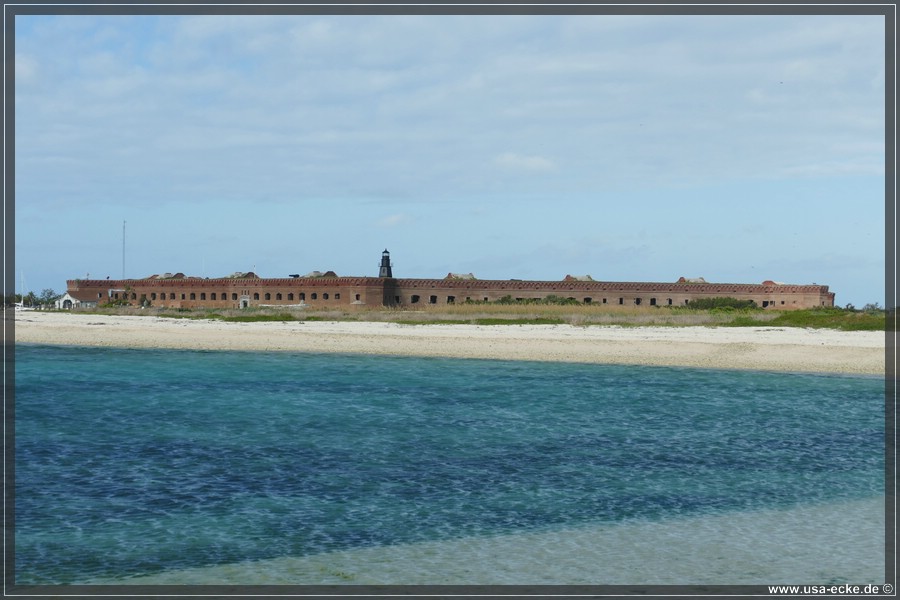 DryTortugas_Bush_2024_048