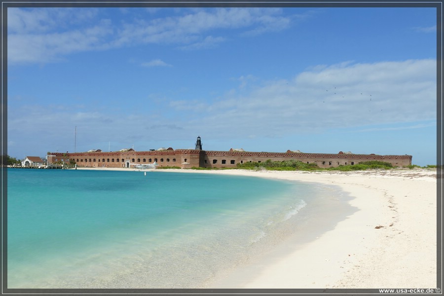 DryTortugas_Bush_2024_054