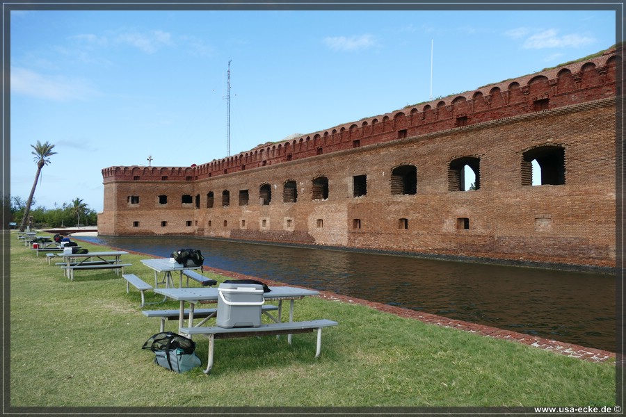 DryTortugas_Garden_2024_003