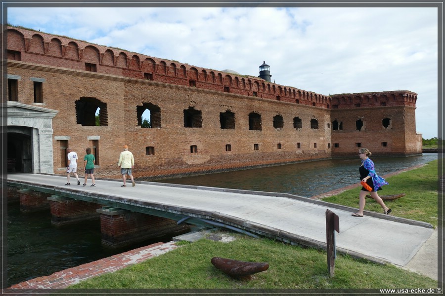 DryTortugas_Garden_2024_004
