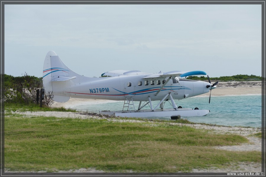 DryTortugas_Garden_2024_005