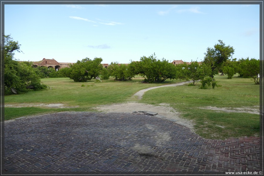 DryTortugas_Garden_2024_006