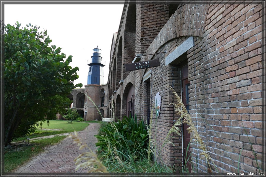 DryTortugas_Garden_2024_007