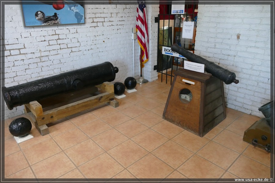 DryTortugas_Garden_2024_009