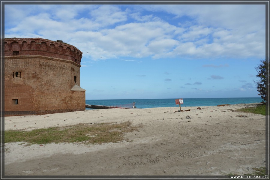 DryTortugas_Garden_2024_013