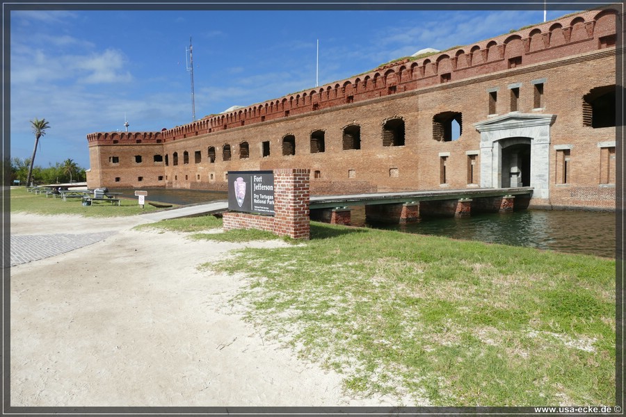 DryTortugas_Garden_2024_017