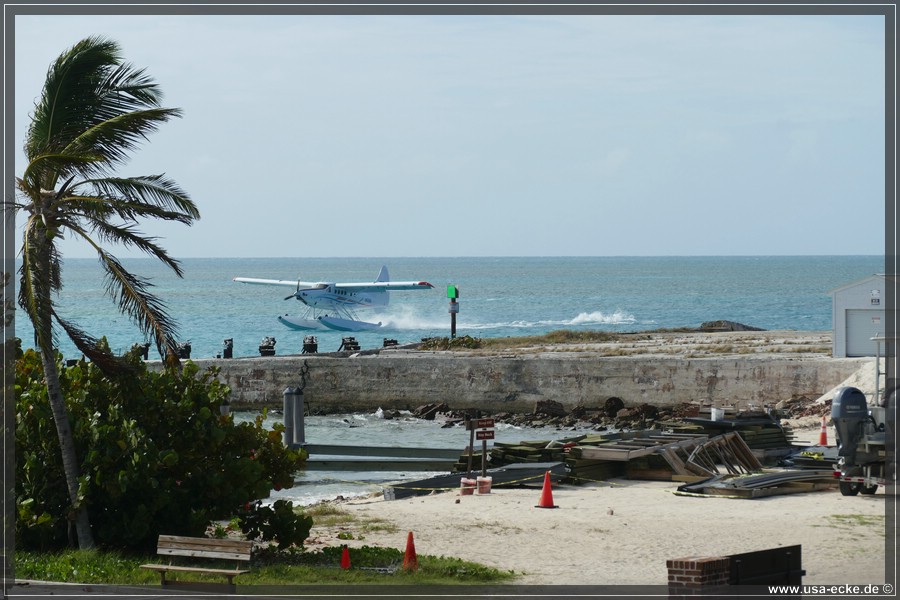 DryTortugas_Garden_2024_020