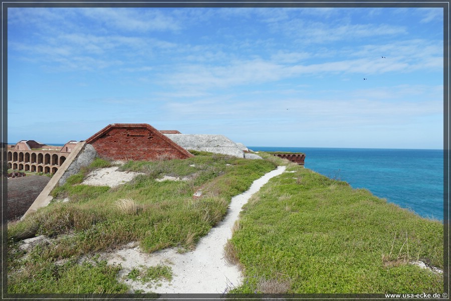 DryTortugas_Garden_2024_025
