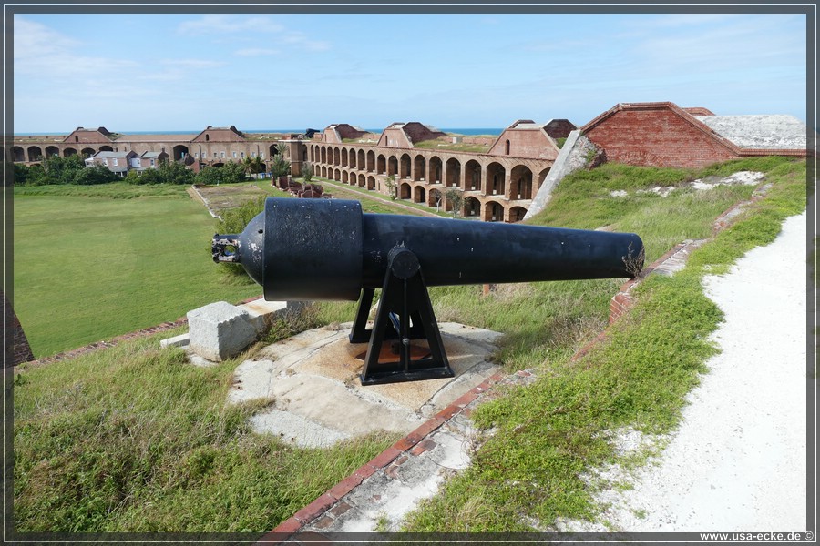 DryTortugas_Garden_2024_028