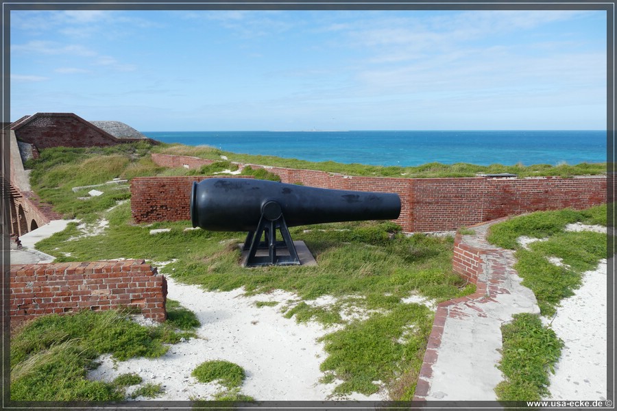 DryTortugas_Garden_2024_029