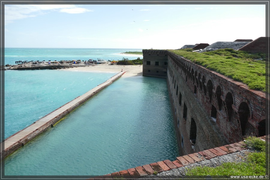 DryTortugas_Garden_2024_030