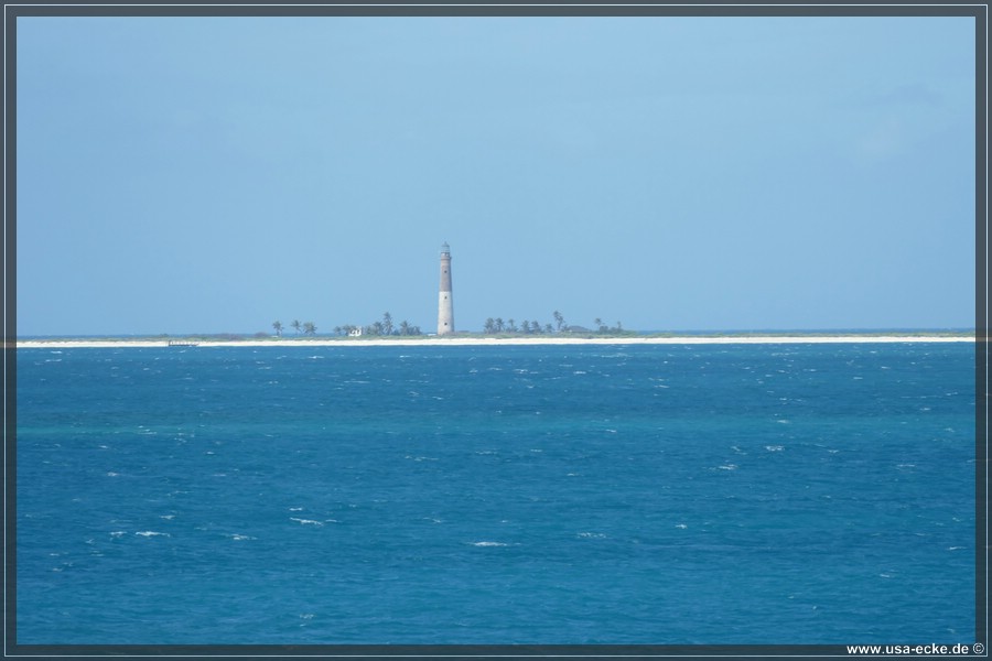 DryTortugas_Garden_2024_031