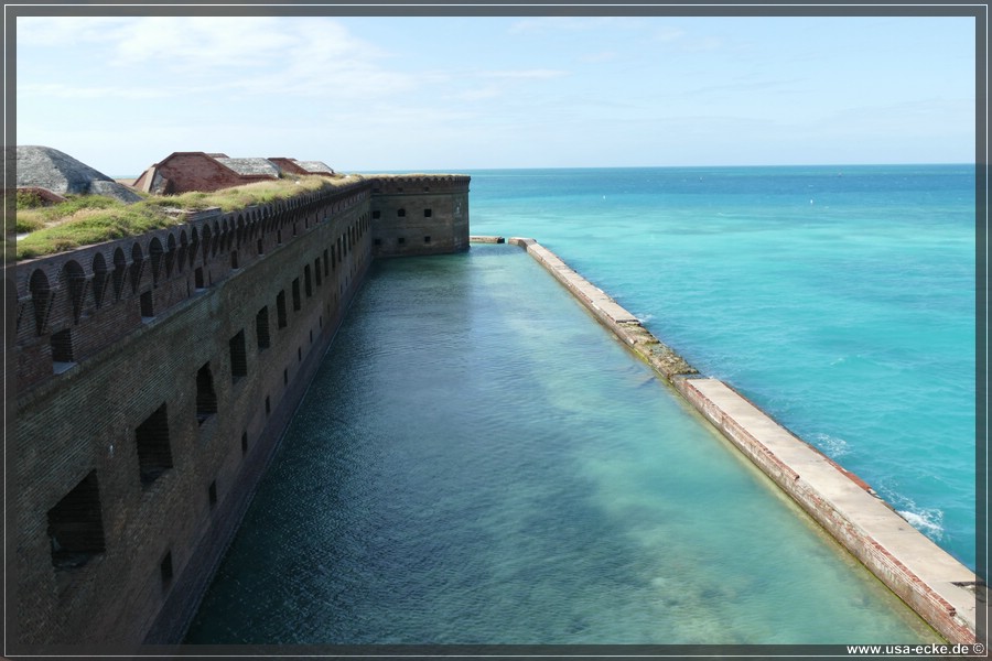 DryTortugas_Garden_2024_032
