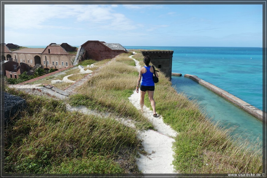 DryTortugas_Garden_2024_034