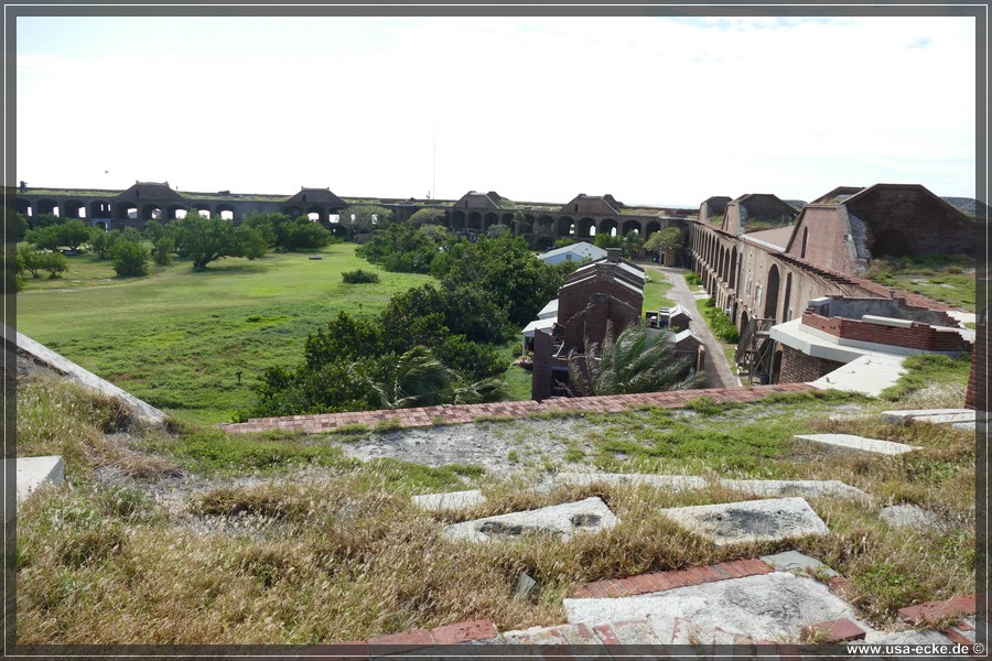 DryTortugas_Garden_2024_037