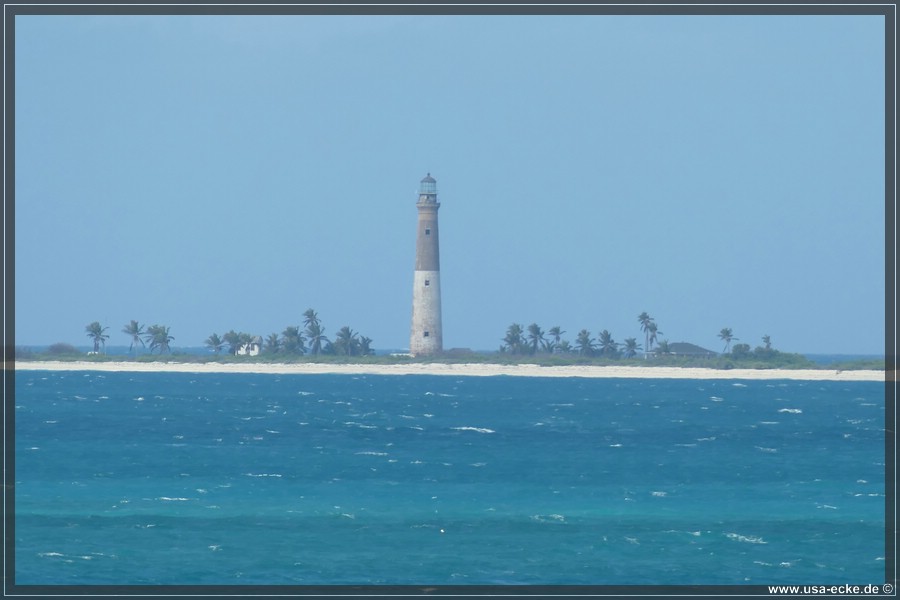DryTortugas_Garden_2024_039