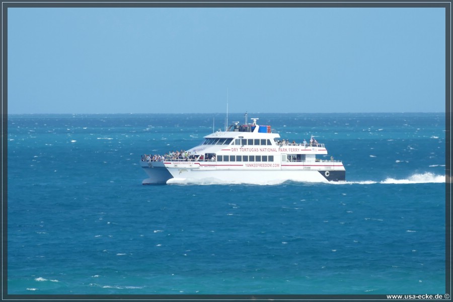 DryTortugas_Garden_2024_040