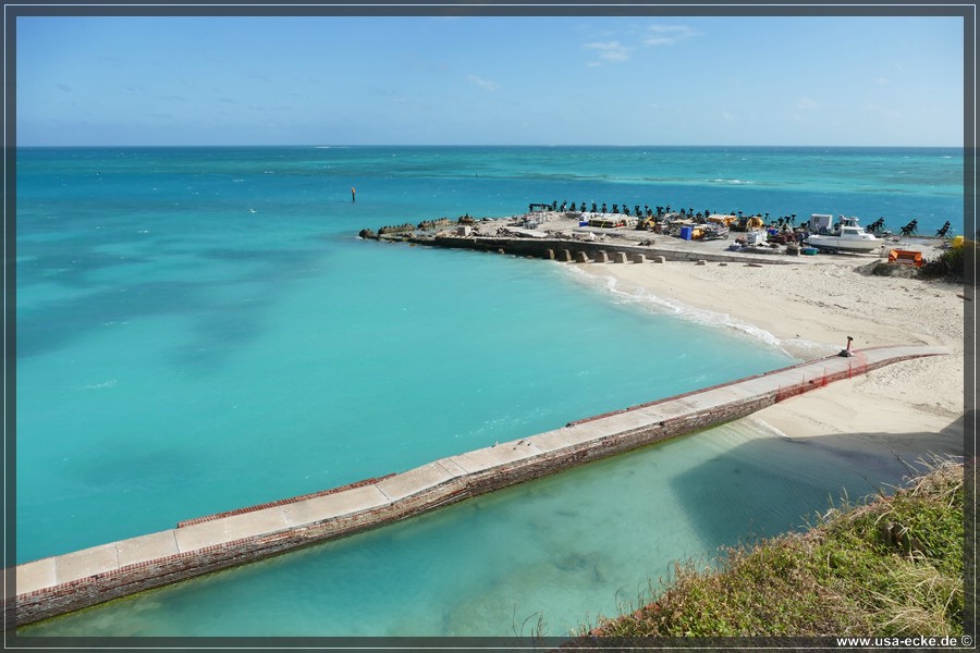 DryTortugas_Garden_2024_041