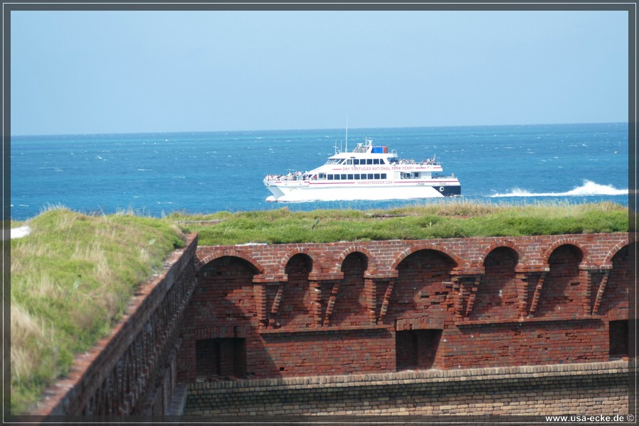 DryTortugas_Garden_2024_042