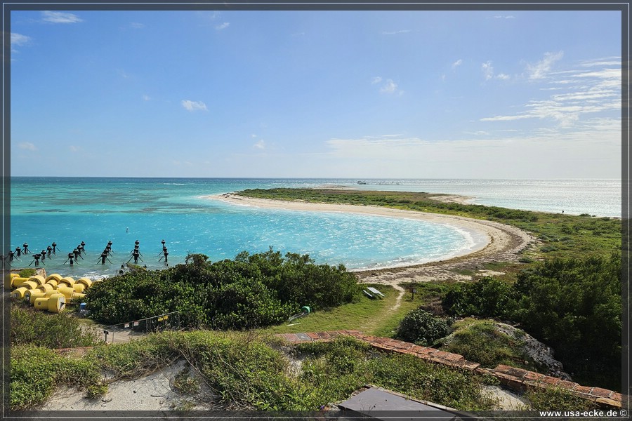 DryTortugas_Garden_2024_043