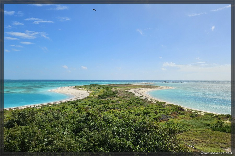 DryTortugas_Garden_2024_044