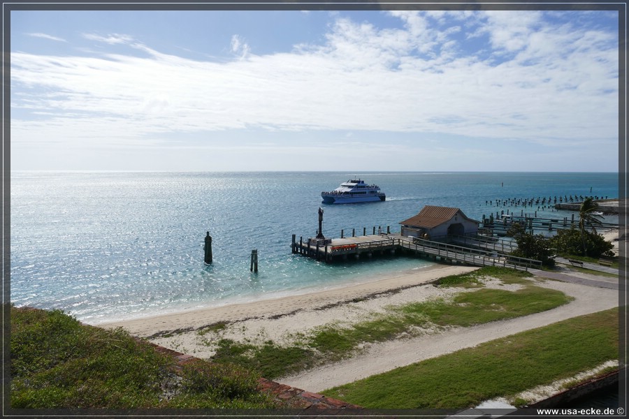 DryTortugas_Garden_2024_045