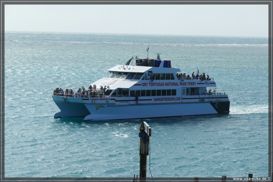 DryTortugas_Garden_2024_046