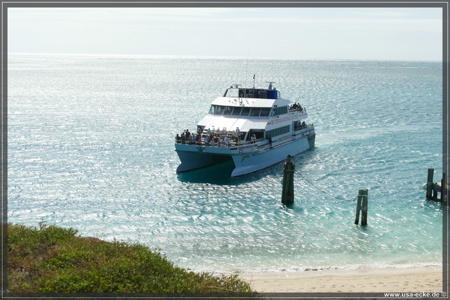 DryTortugas_Garden_2024_047