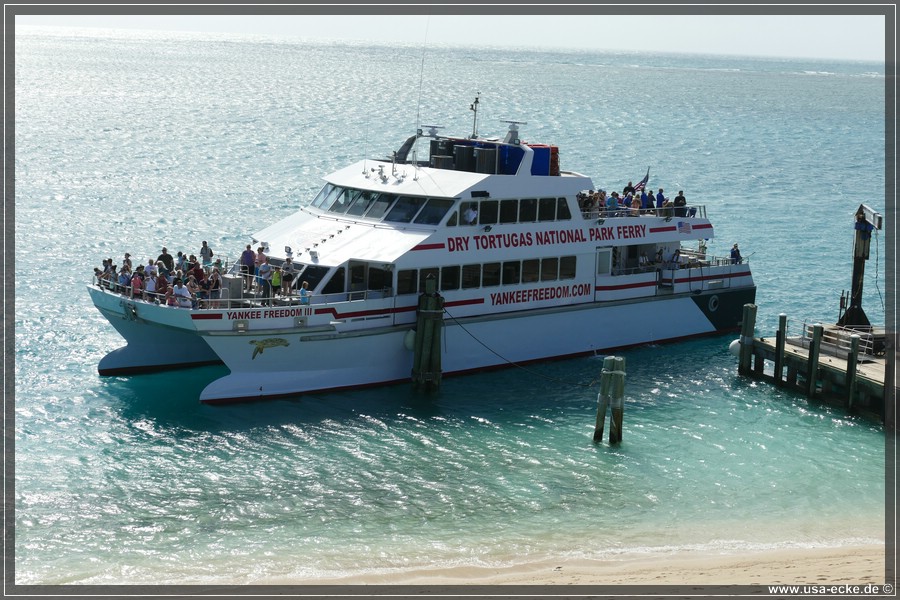 DryTortugas_Garden_2024_048