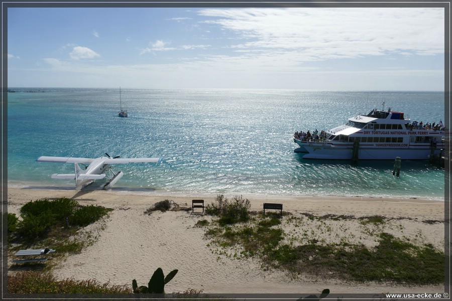 DryTortugas_Garden_2024_049