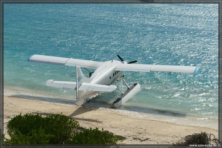DryTortugas_Garden_2024_050