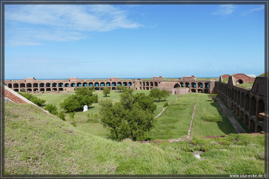 DryTortugas_Garden_2024_052