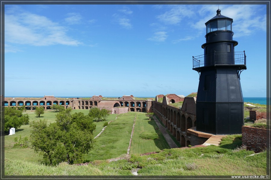 DryTortugas_Garden_2024_053