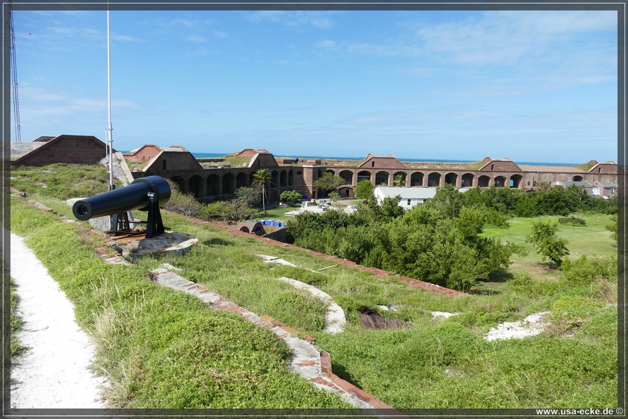 DryTortugas_Garden_2024_055