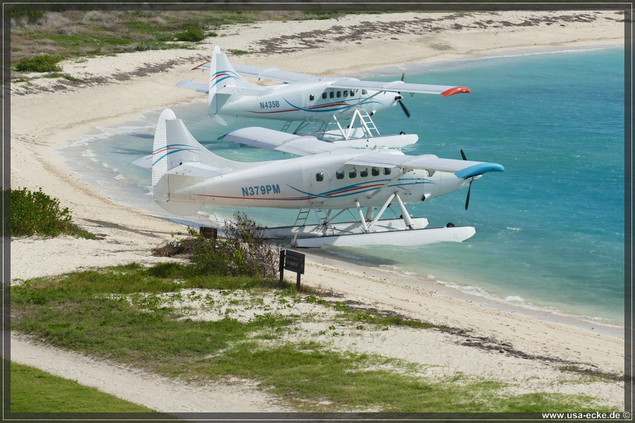 DryTortugas_Garden_2024_056
