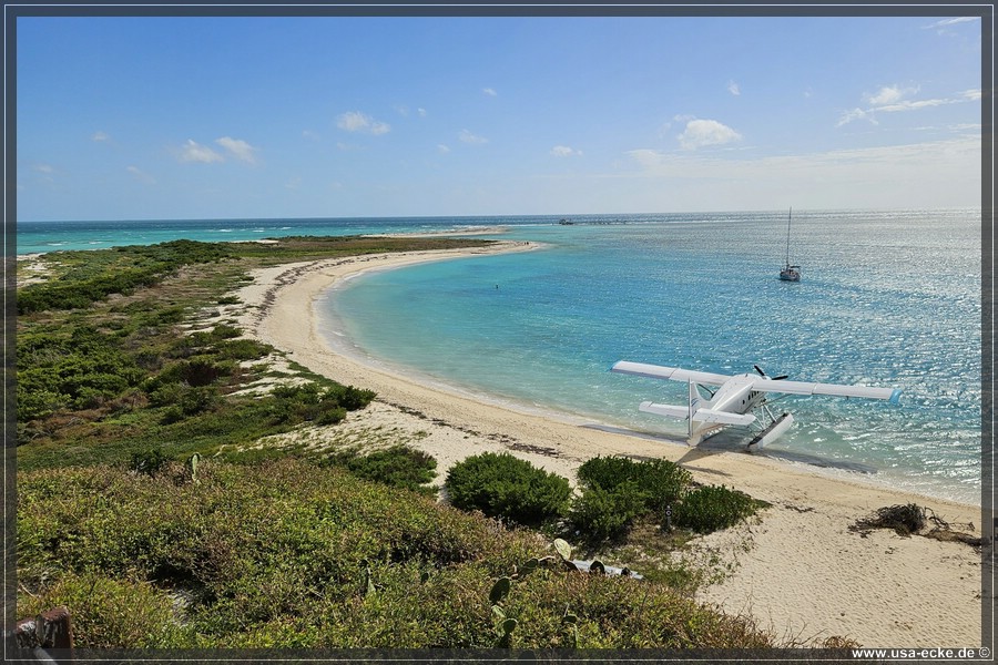 DryTortugas_Garden_2024_057