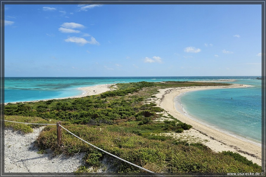 DryTortugas_Garden_2024_058