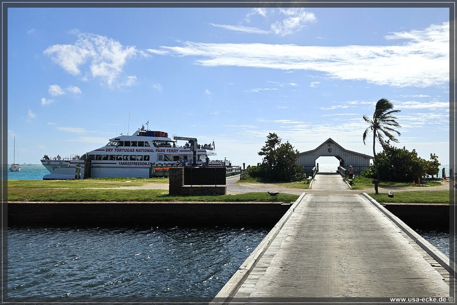 DryTortugas_Garden_2024_060