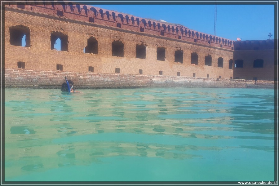 DryTortugas_Swim_2024_007