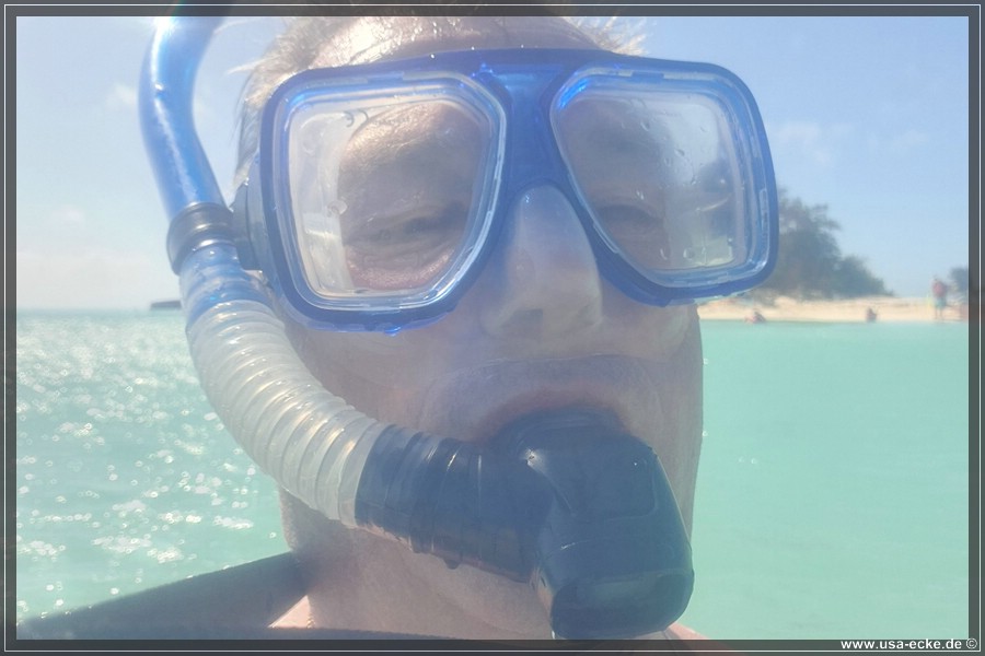 DryTortugas_Swim_2024_011