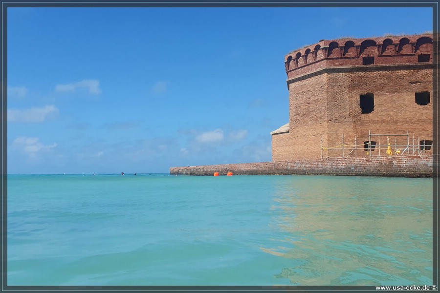 DryTortugas_Swim_2024_012
