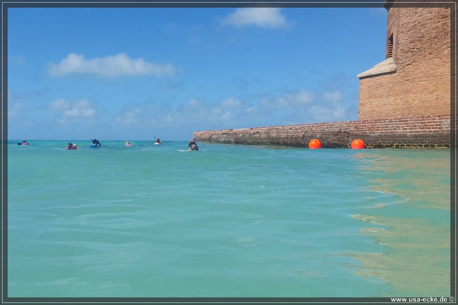 DryTortugas_Swim_2024_013