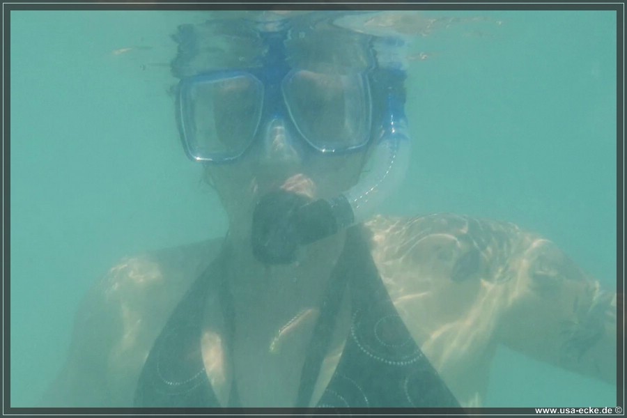 DryTortugas_Swim_2024_023