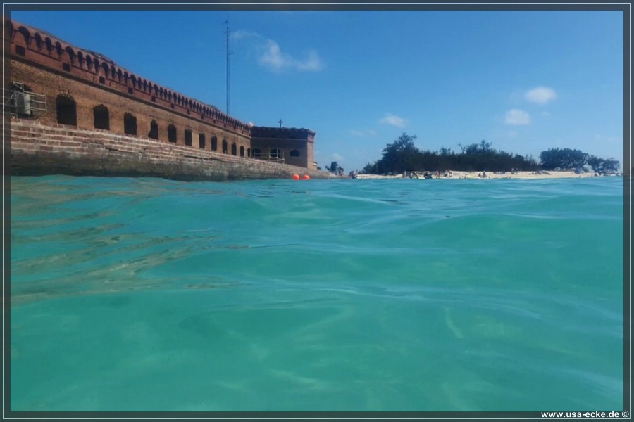 DryTortugas_Swim_2024_024