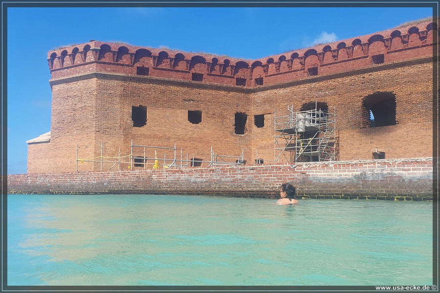 DryTortugas_Swim_2024_032