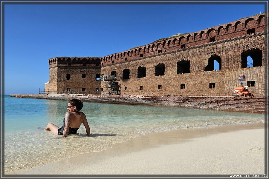 DryTortugas_Swim_2024_038