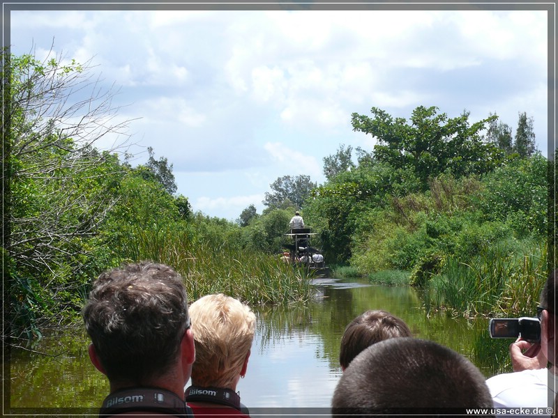 alligator_farm2009_021