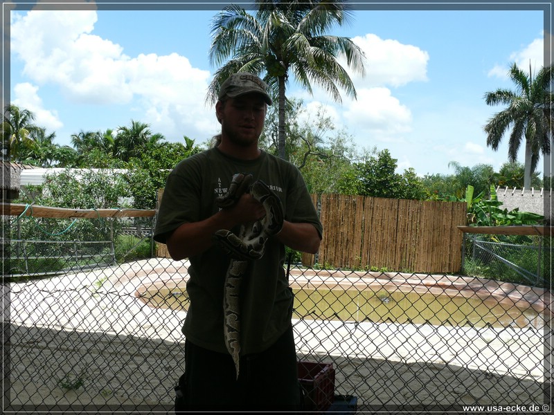 alligator_farm2009_028