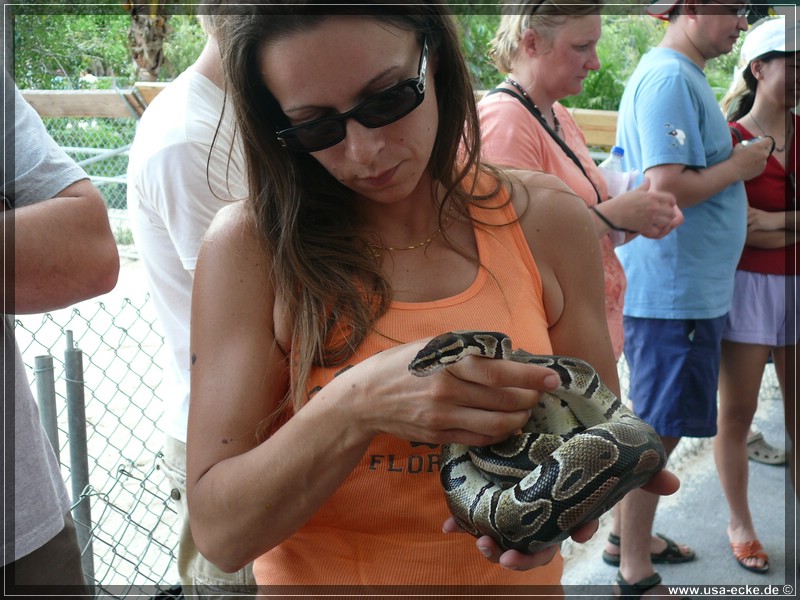 alligator_farm2009_030