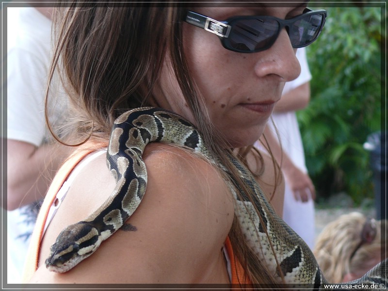 alligator_farm2009_031